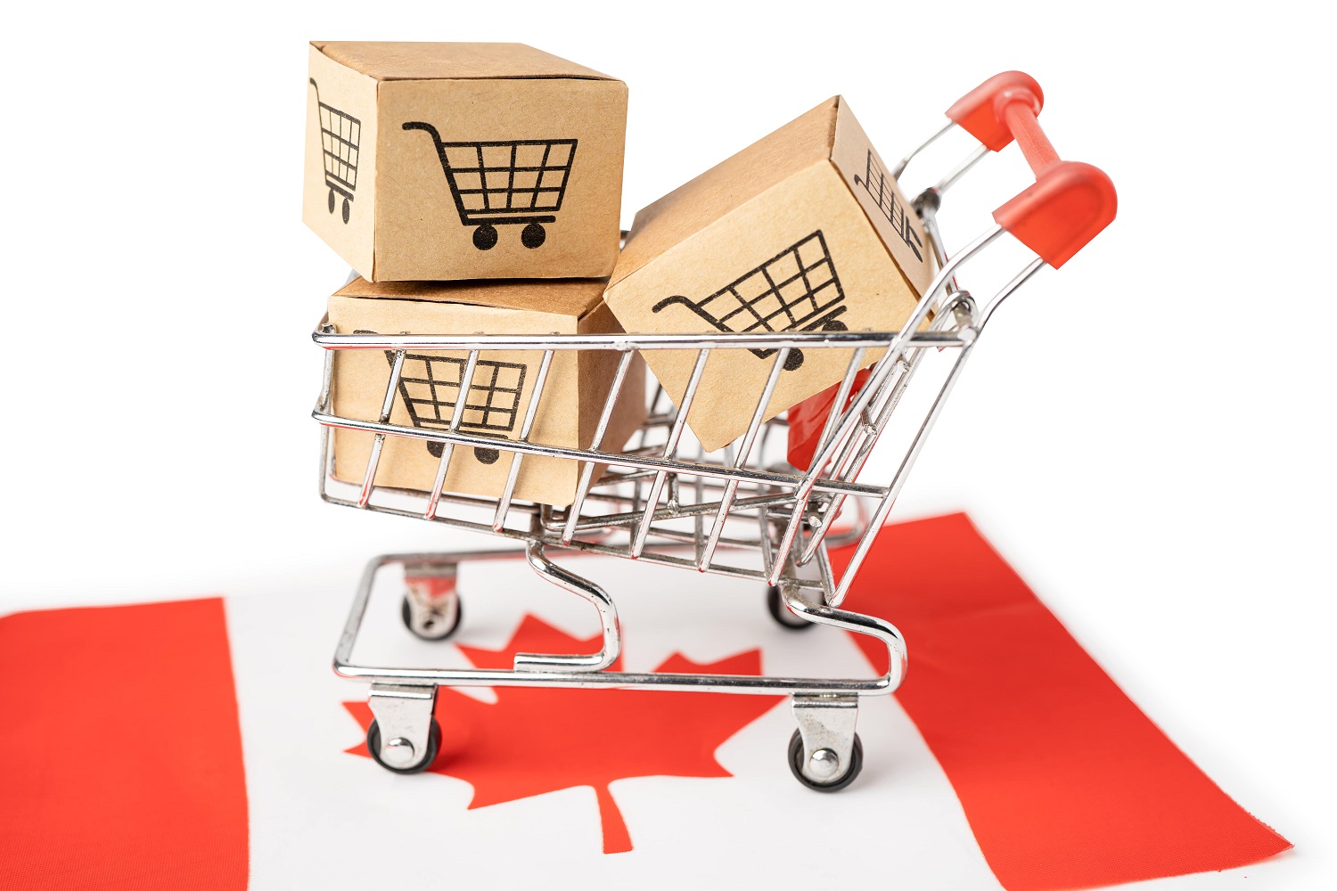 The Rising Popularity Of Online Shopping In Canada